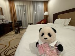 -山东政协大厦维景大酒店