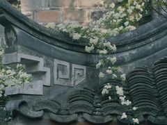 -芥子园