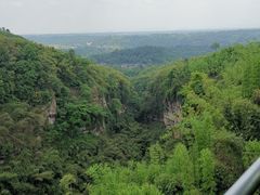 -川西竹海景区