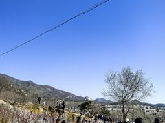 -白水寺森林公园