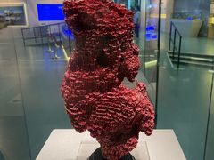 -上海中国航海博物馆