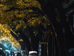 -北京国子监胡同