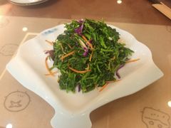 -丽泽山庄·生态怀柔菜·虹鳟鱼(红螺寺店)