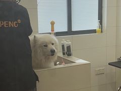 -艾贝尔宠物医院 ·内科全科(梁溪路店)