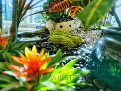 -荷兰布尔玛国际花艺学院