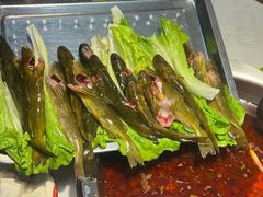 -川江渔府火锅(学府路直营店)