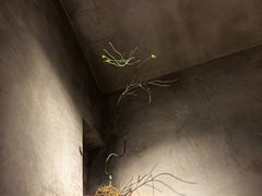 -陶享时光西餐·下午茶(信河街店)