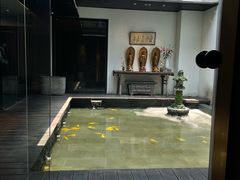 -觀芷隐轩