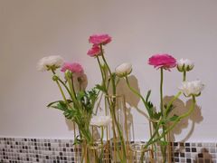 -山茶云南菜(中关村店)