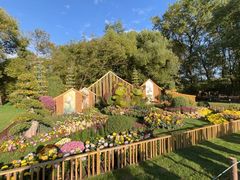 -上海共青森林公园