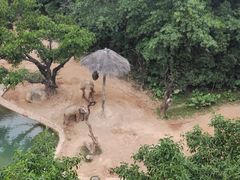 -广州长隆野生动物世界