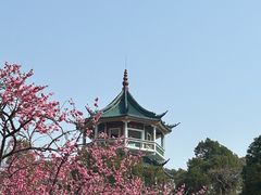-无锡梅园公园