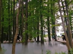 -东湖落雁景区