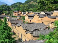 -杨家堂村