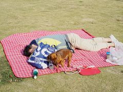 -栖露营camping·天幕烧烤·团建拓展·采摘营地