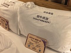 -乐山上善居·养心禅景酒店(世豪广场高铁站店)
