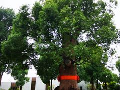 -养云安缦吧THE BAR