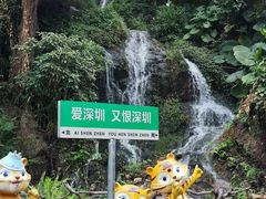 -青青世界
