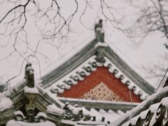 -颐和园