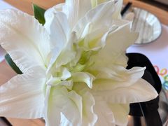 -四季餐厅·新津菜(环湖中路店)