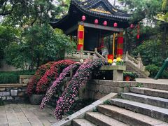 -无锡惠山寺