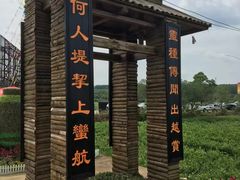 -中华茉莉园