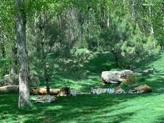 -北京野生动物园