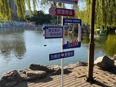 -团结湖公园