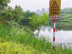 -重庆彩云湖湿地公园