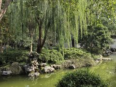 -秋霞圃