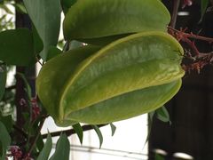 iphone_upload_pic-北戴河集发农业梦想王国