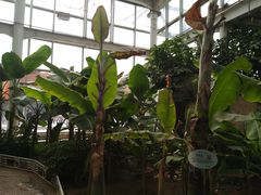 -石家庄市植物园