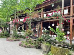 -青城甲(青城山店)