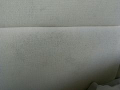-天门沟九州驿站树上汤泉