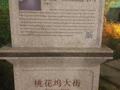 -苏州桃花坞国际青年旅舍