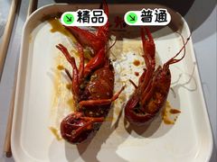 -杨氏青龙虾·羊蝎子(托乐嘉店)