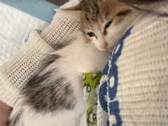 -酷宠动物医院(天通西苑店)