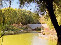 -大兴滨河森林公园