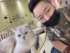 -藏猫猫咖啡主题馆(中央大道店)