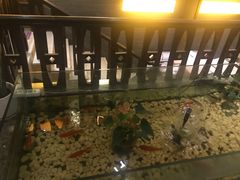 -樱蘭·影院足道·养生SPA(三里屯店)
