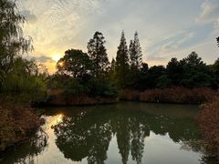 -上海滨江森林公园