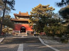 -沈阳市东陵公园