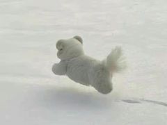 -果果木·手工酸奶·水果捞(小东路店)