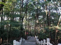 -灵岩山风景区