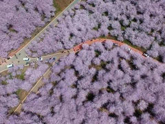 -云山屯古建筑群景区