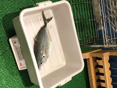 -ジャンボ釣船 つり吉(新世界店)