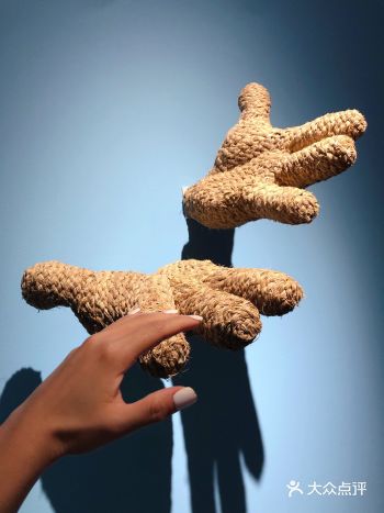 打卡米奇好奇无界全球艺术展!