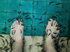 -静之湖度假区