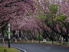 -苏州河梦清园环保主题公园