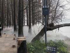 -东湖落雁景区